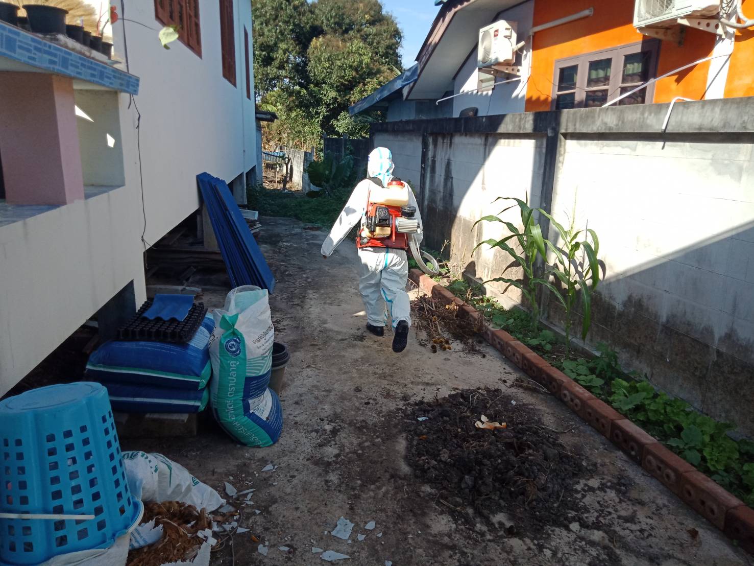 ควบคุมโรคชิคุนกุนยา