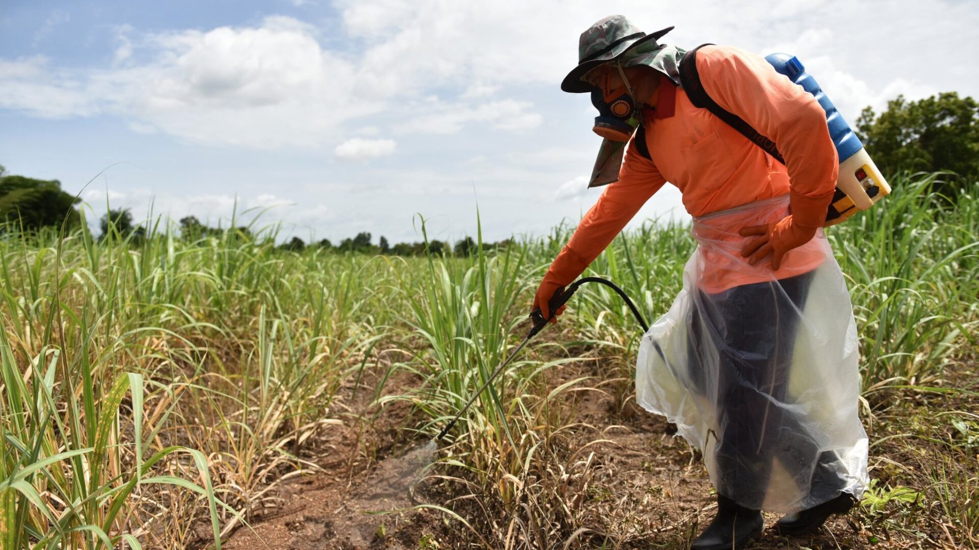 ตรวจหาสารพิษตกค้างในเลือด