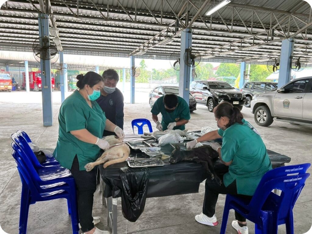 ทำหมันสุนัข และแมว จรจัด ครั้งที่ 1/2565